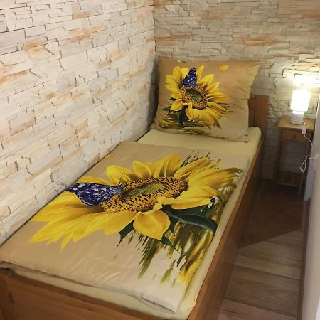 Apartman Slunecnice S Terasou Ческе-Будеёвице Экстерьер фото
