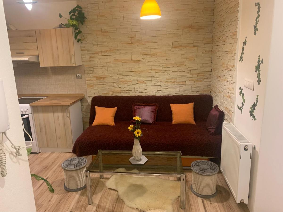 Apartman Slunecnice S Terasou Ческе-Будеёвице Экстерьер фото